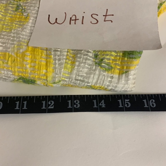 Lemon print dress Ann Taylor SZ 4 sheer banded waist retro full skirt whimsical - Picture 10 of 12